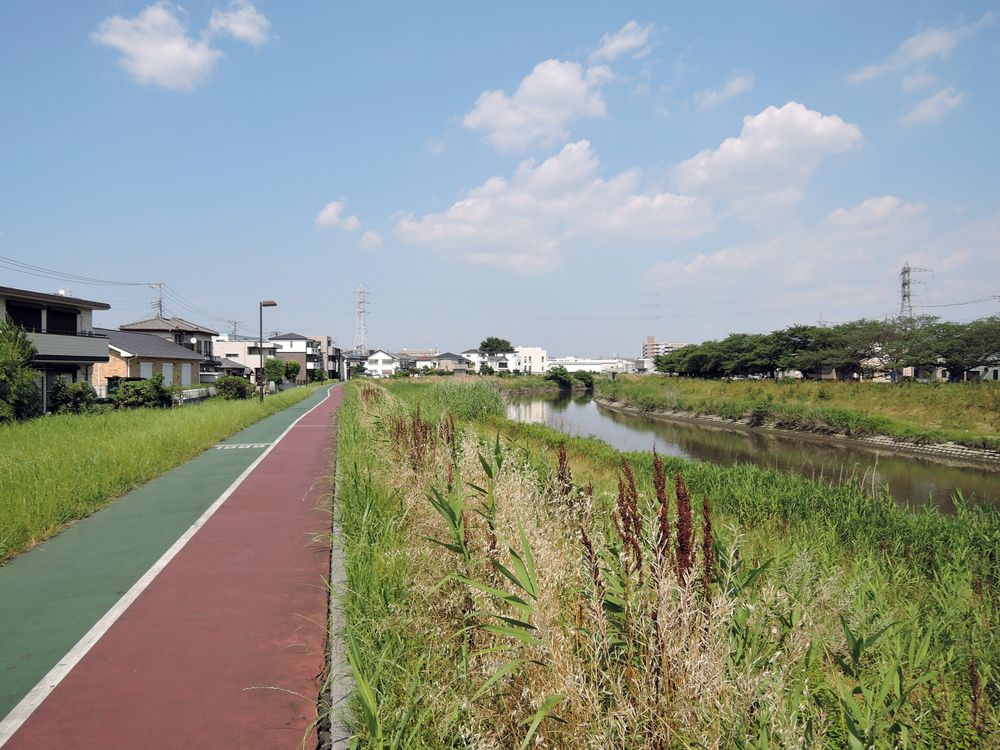 綾瀬川左岸遊歩道