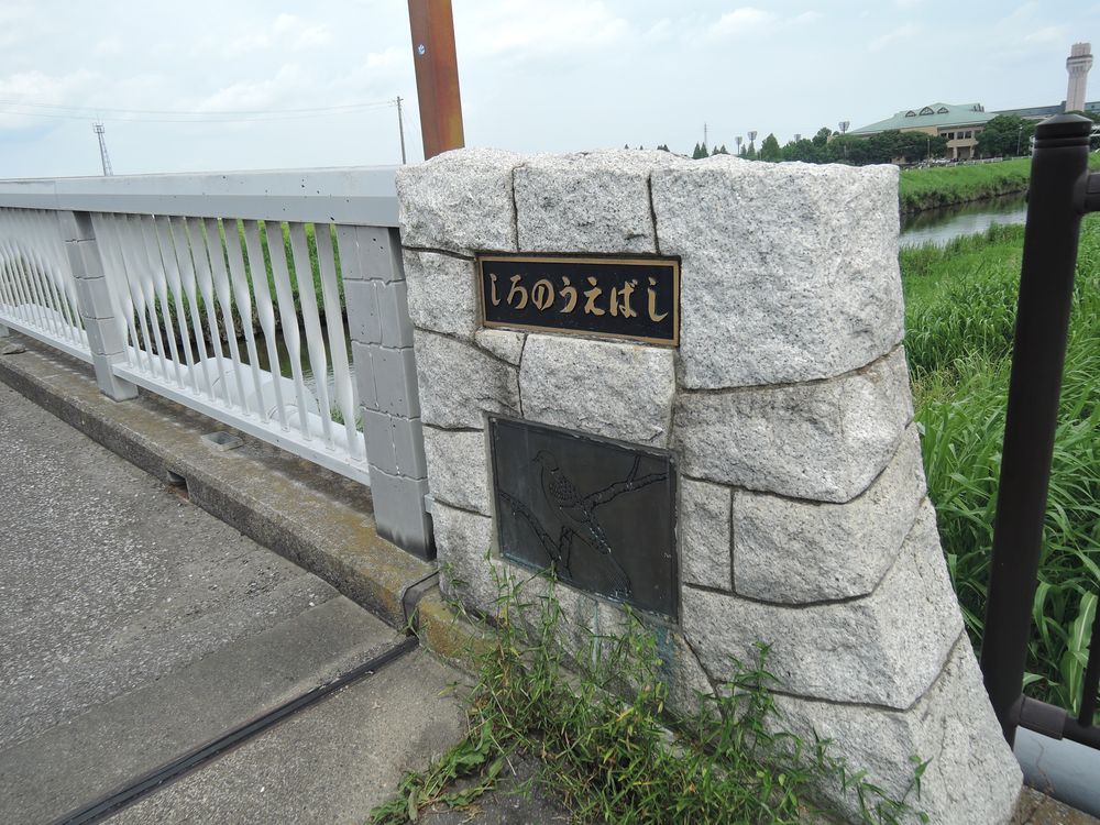 新方川緑道｜城之上橋