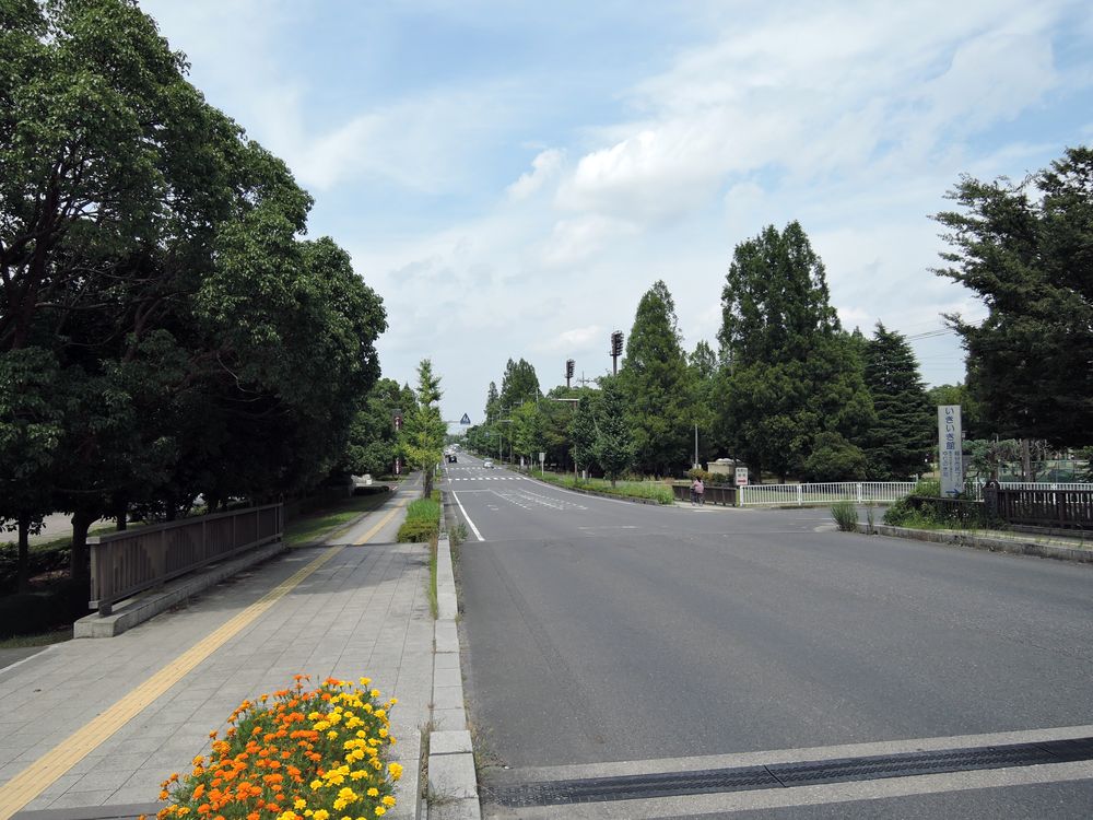 千代田橋から新方川の左岸側道路を望む