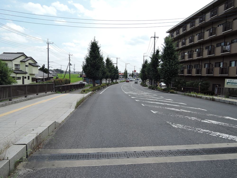 千代田橋から新方川の右岸側道路を望む