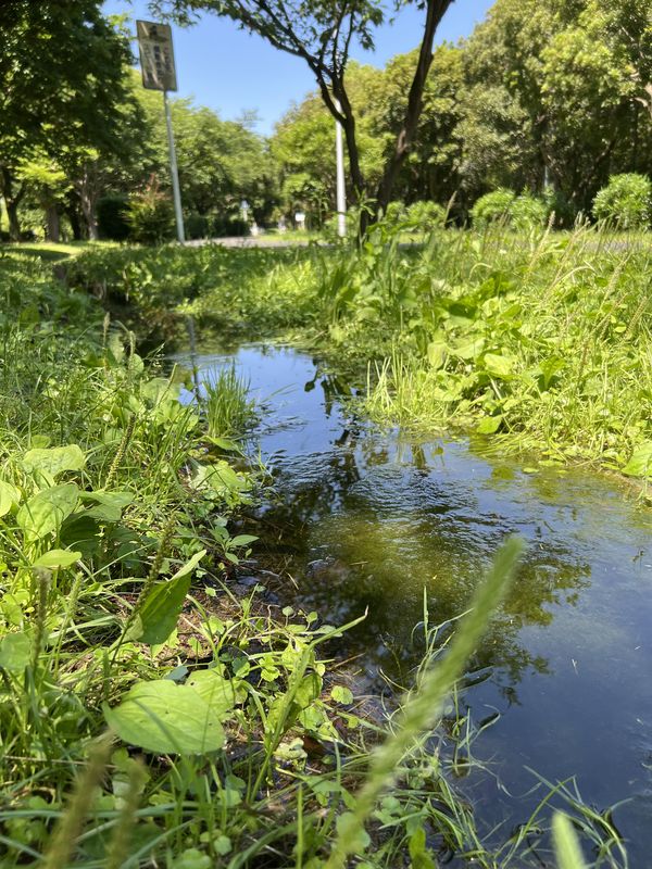 水路