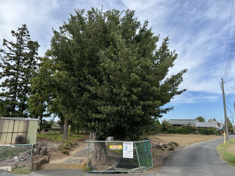 久伊豆神社｜越谷市野島