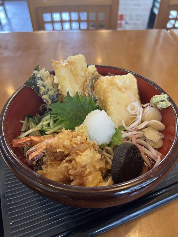冷し揚げ餅天おろしそば