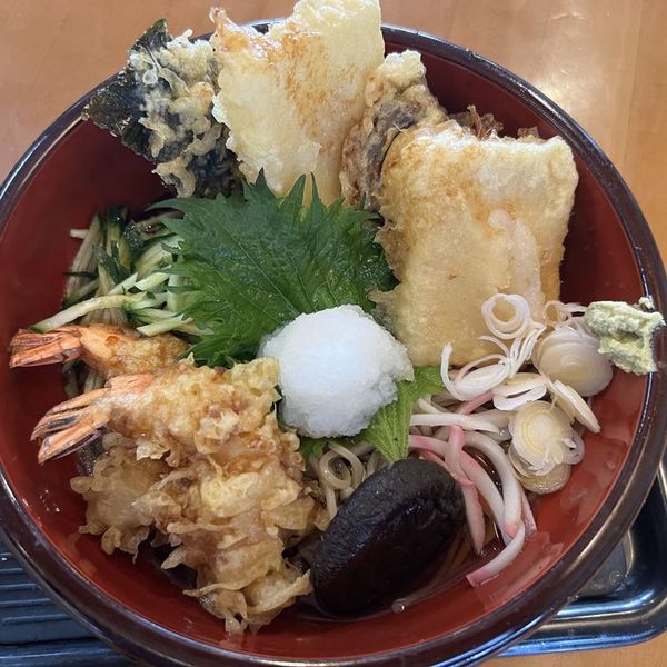 冷やし揚げ餅天おろしそば