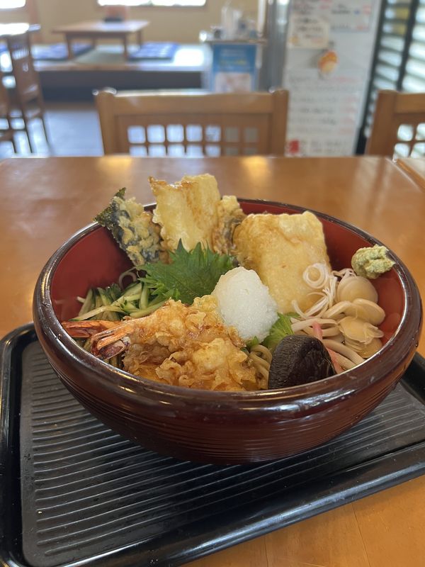 冷やし揚げ餅天おろしそば